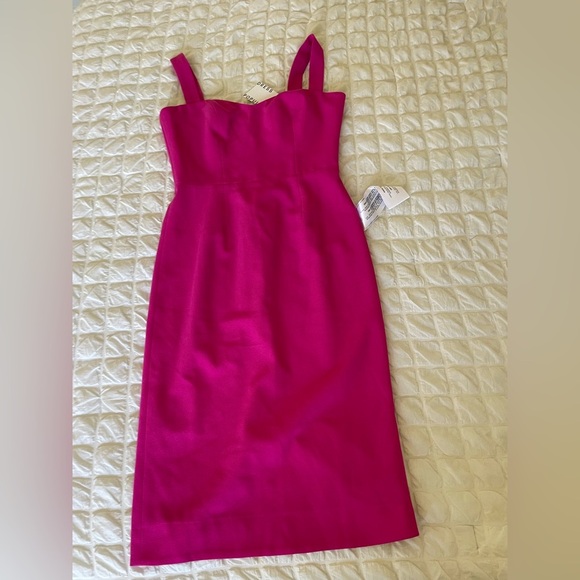 Dress the Population Nicole Fuchsia Midi Dress - Picture 11 of 12